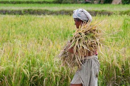 Ubud Cycling Tour