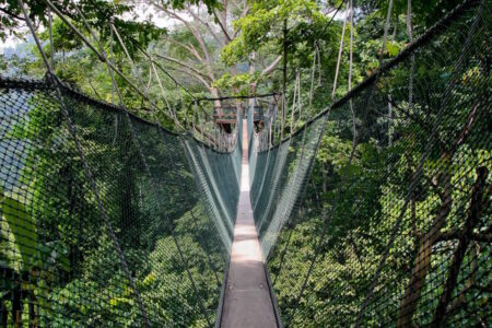 FRIM Canopy Walk