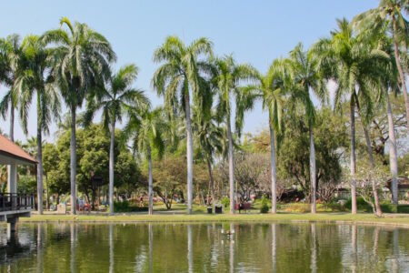 Nong Buak Hard Public Park