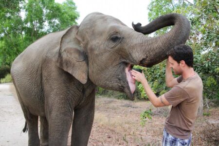 Phnom Tamao Wildlife Rescue Center