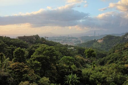 Maokong Tea Tasting